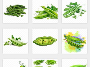 绿色豌豆 有机蔬菜的清新之选——素材海报与商业应用指南